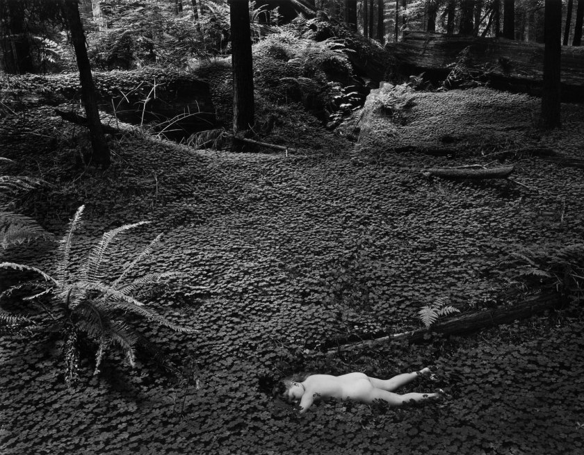 Wynn Bullock (American, 1902–1975) 'Child in Forest' 1951