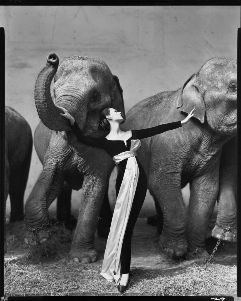 Richard Avedon (American, 1923-2004) 'Dovima with elephants, evening dress by Dior, Cirque d’Hiver, Paris, August 1955' 1955