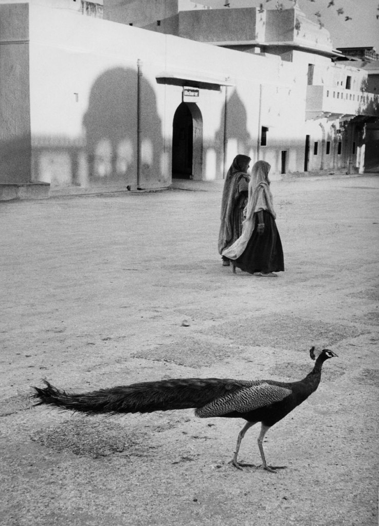 Marc Riboud (French, 1923-2016) 'Jaipur' Jaipur, India, 1956