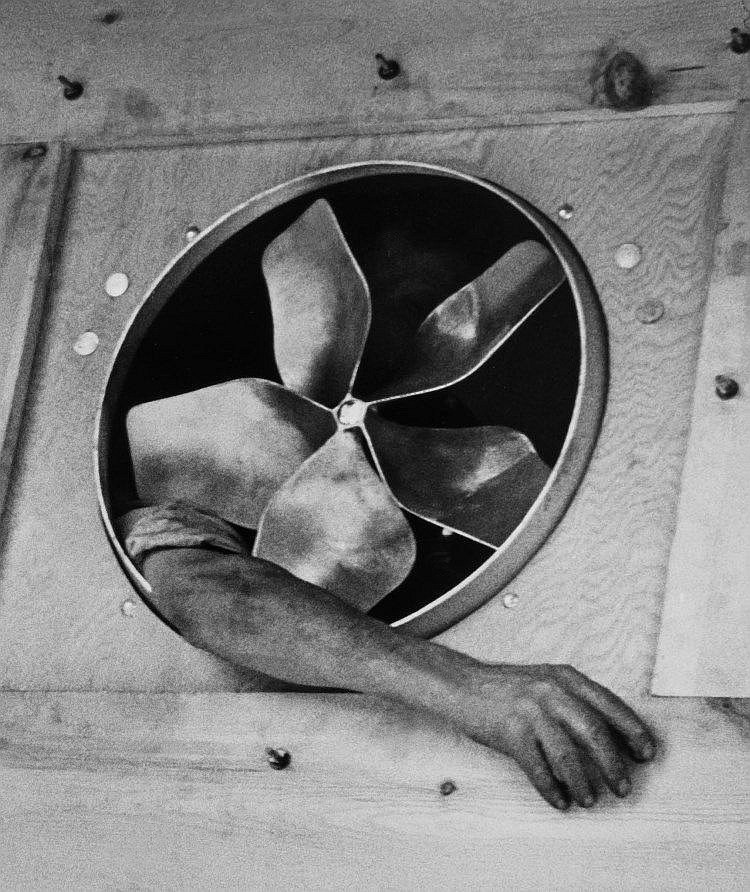 André Kertész (Hungarian, 1894-1985) 'Fan, December 1937' 1937