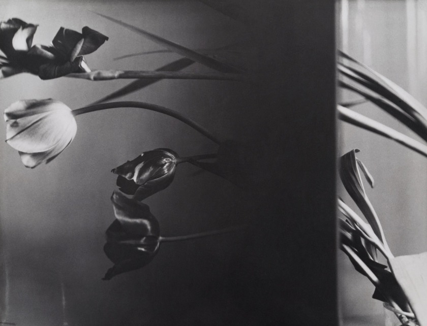 Florence Henri. 'Composition Nature morte [Still-life composition]' 1931