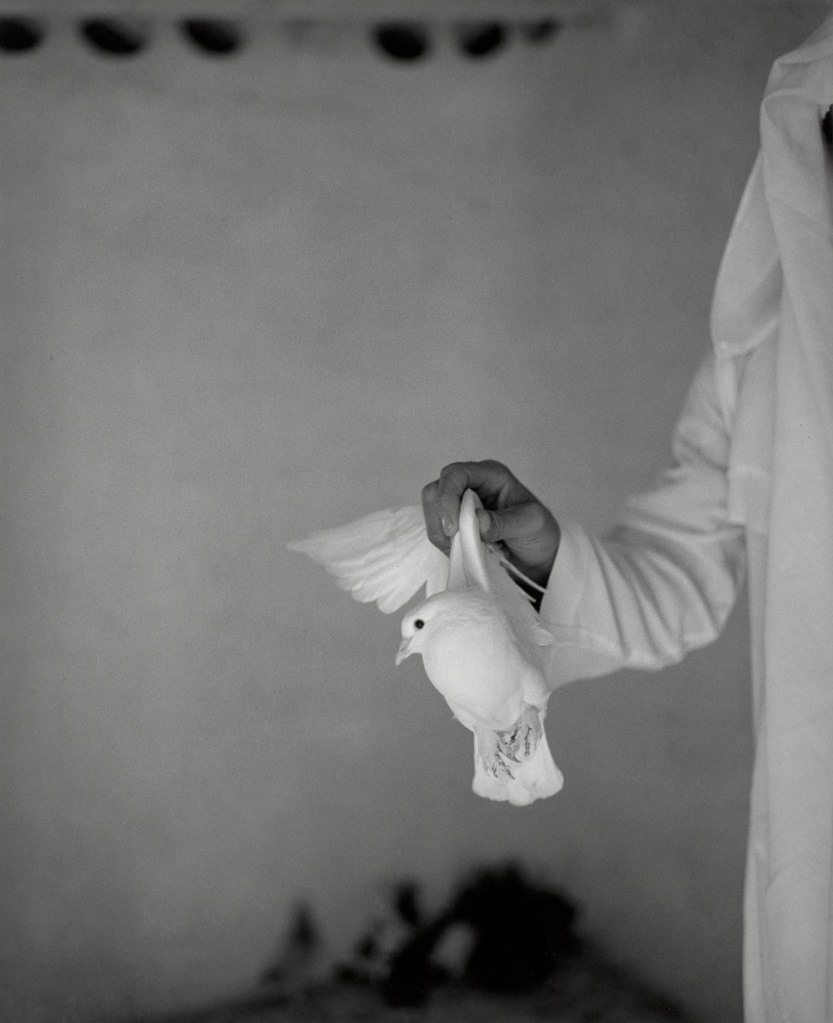 John Gossage (American, b. 1946) 'Untitled', from the series 'Nothing' 1985