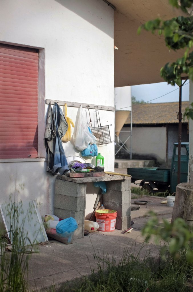 John Gossage (American, b. 1946) 'Untitled' from the series 'pomodori a grappolo' 2009-2011