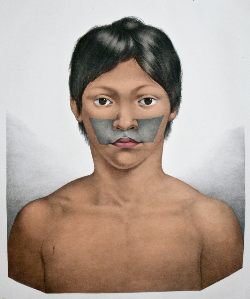 Johann Baptist von Spix (German, 1781-1826) 'Journey to Brazil on command Maximilian Joseph I, King of Bavaria, in the years 1817-1820'