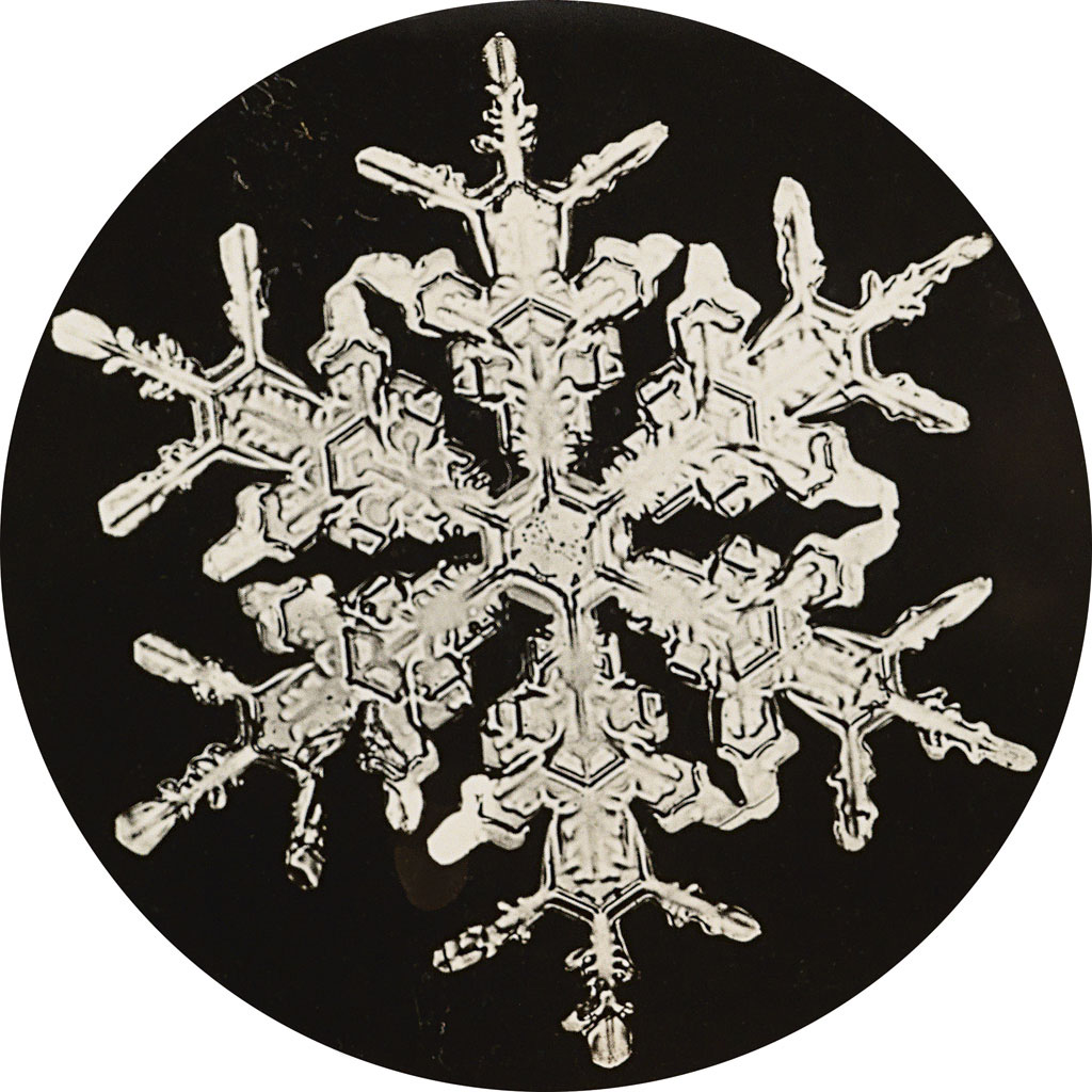 Wilson A. Bentley (American, 1865-1931) 'Snowflake' c. 1920