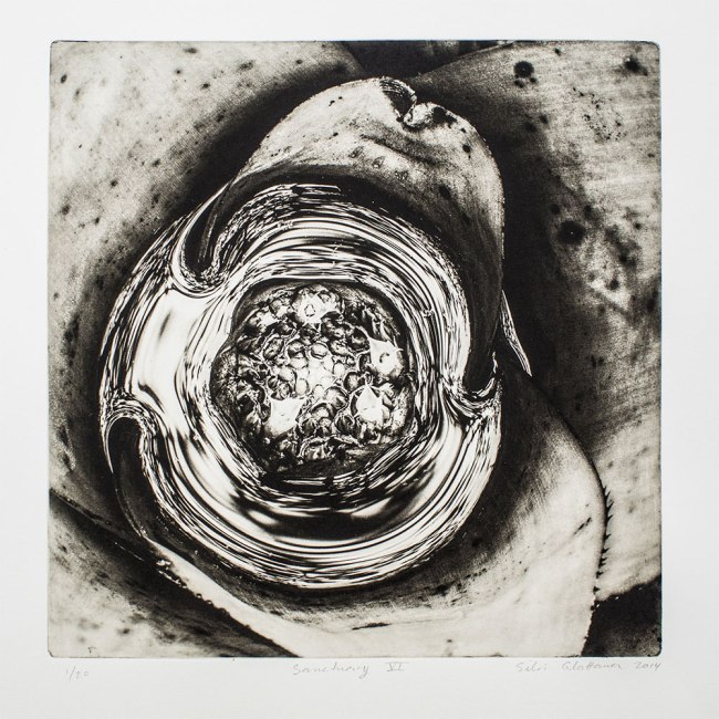 Silvi Glattauer (born Argentina 1966; arrived Australia 1974) 'Sanctuary VI' 2014 