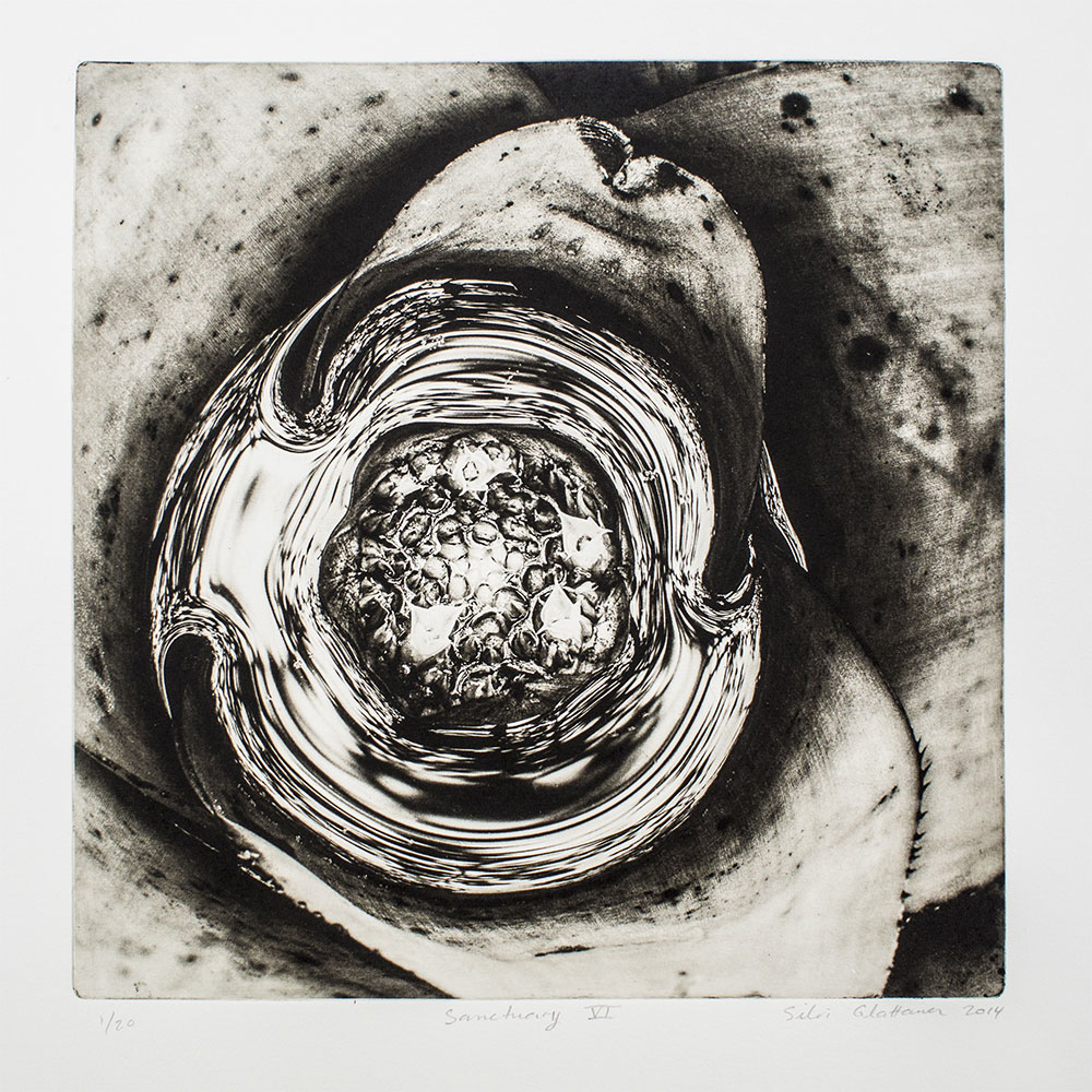 Silvi Glattauer (born Argentina 1966; arrived Australia 1974) 'Sanctuary VI' 2014 