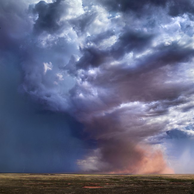 Les Walkling (Australian, b. 1953) 'In my Garden' 2012