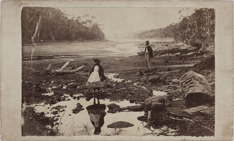 Unknown photographer. 'Australian scenery, Middle Harbour, Port Jackson' c. 1865 Unknown photographer. 'Australian scenery, Middle Harbour, Port Jackson' c. 1865