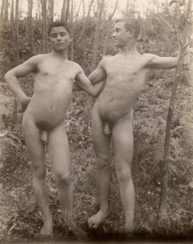 Baron Wilhelm von Gloeden (German, 1856-1931) 'Two nude men standing in a forest' Taormina, Sicily' 1899