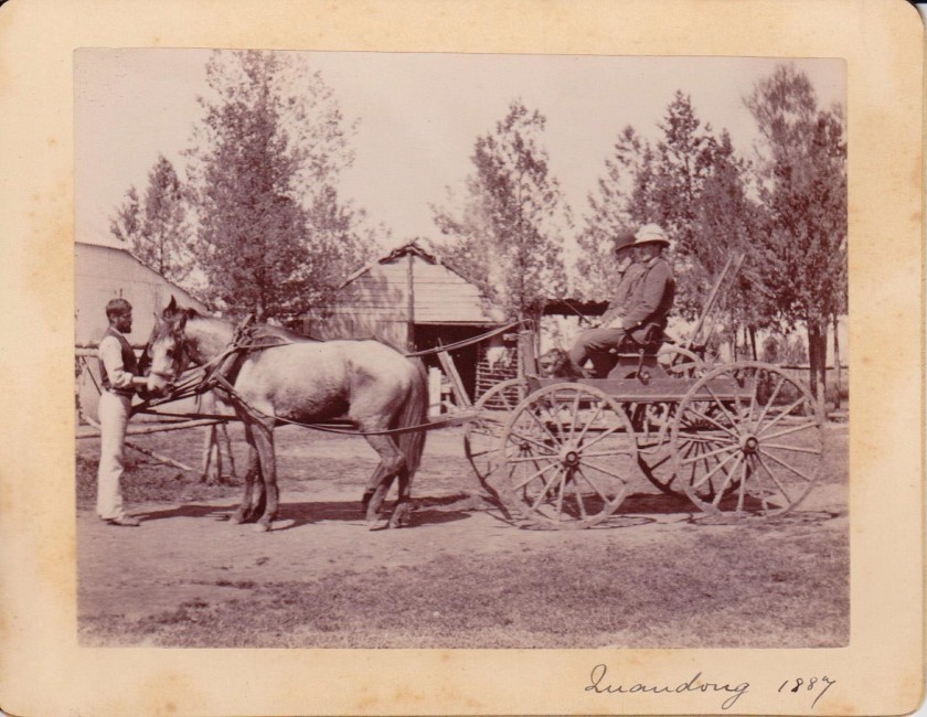 Cabinet card of Quandong, New South Wales, Australia, 1887
