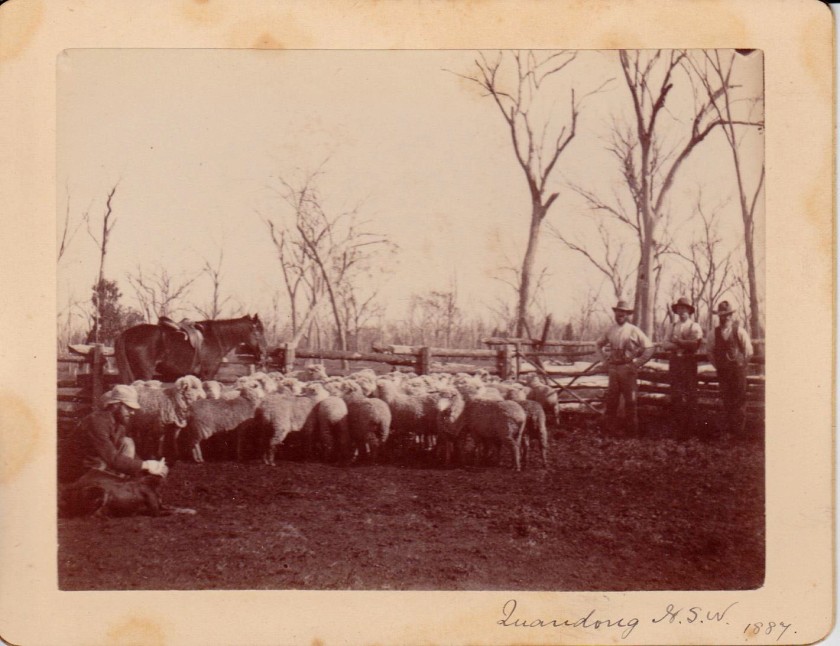 Unknown photographer. 'Quandong, N.S.W.', New South Wales, Australia, 1887
