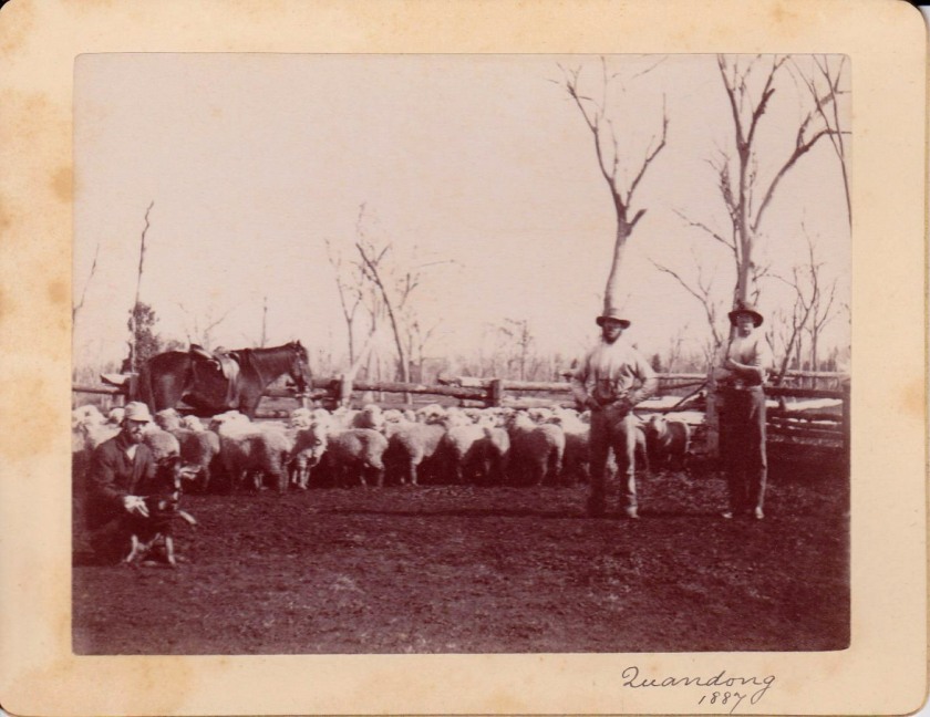 Cabinet card of Quandong, New South Wales, Australia, 1887