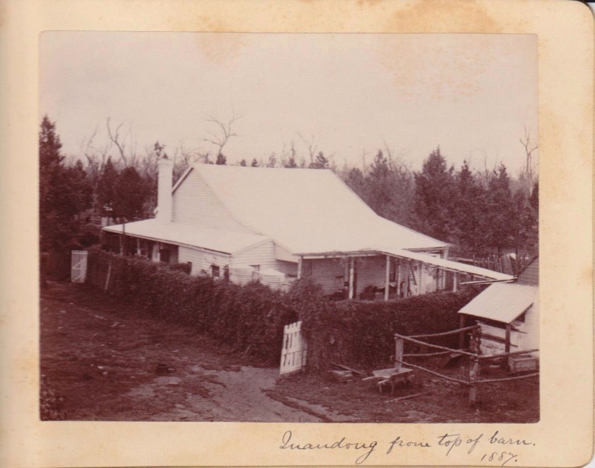 Unknown photographer. 'Quandong from top of barn', New South Wales, Australia, 1887