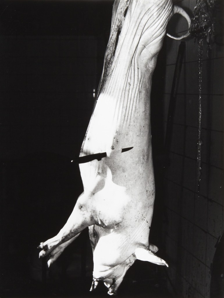 Mario Giacomelli (Italian, 1925-2000) From the series 'Slaughterhouse' Italy 1961