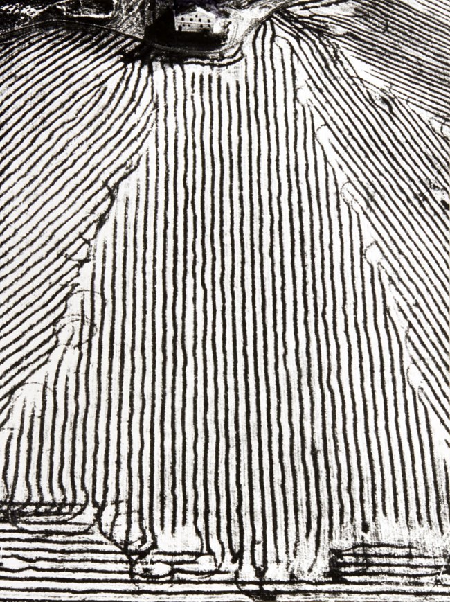 Mario Giacomelli (Italian, 1925-2000) From the series 'Awareness of Nature, Italy, Senigallia' 1982-1992