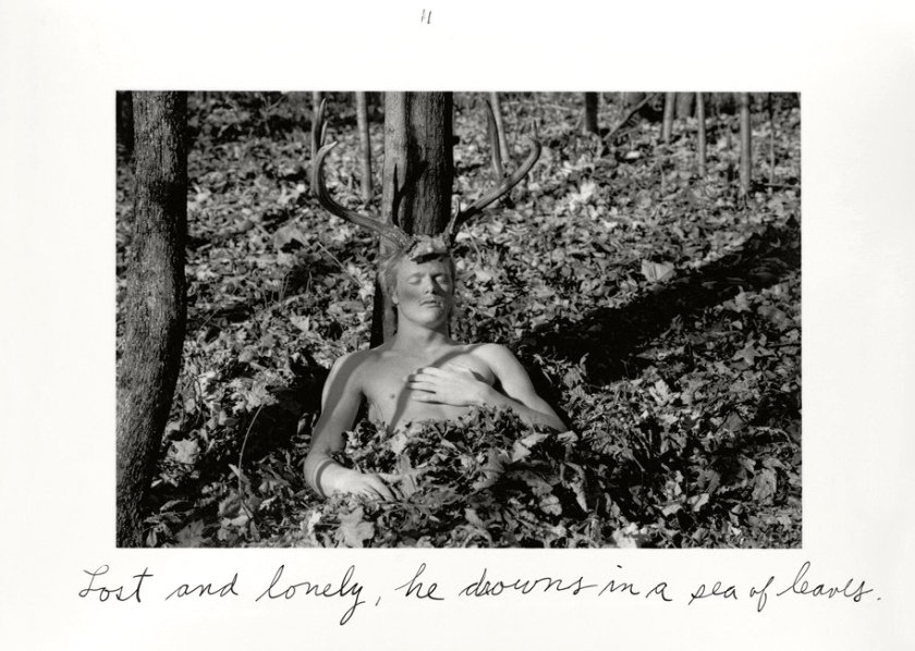 Duane Michals. 'The Bewitched Bee' 1986