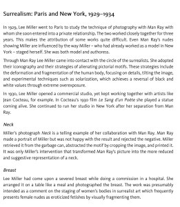 Lee Miller Nude bent forwardArt Blart _ art and cultural memory archive