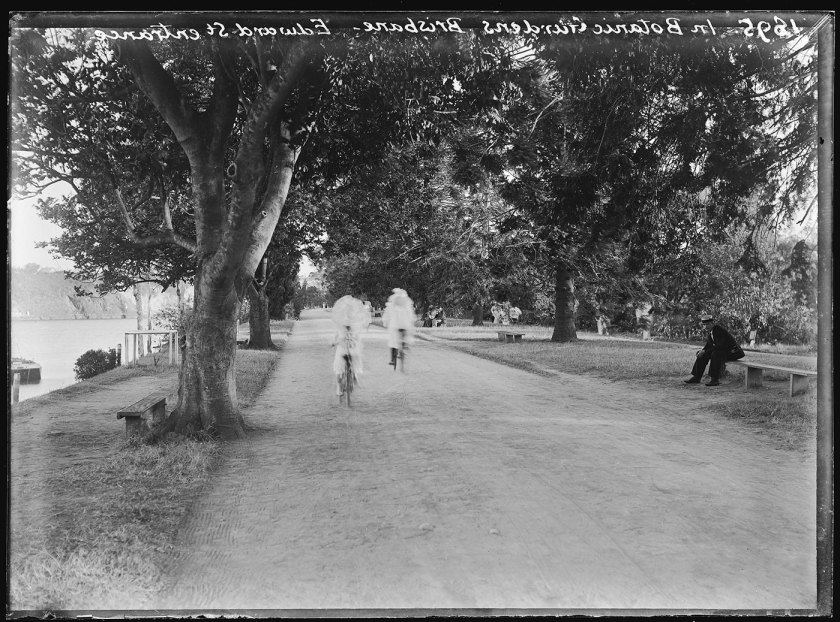Alfred Elliott (Australian, 1870-1954) 'Brisbane Botanic Gardens, near the Edward Street entrance' 1895