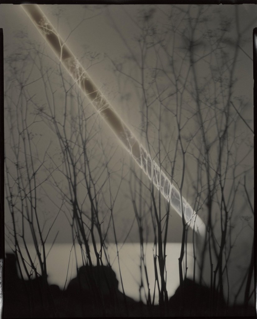 Chris McCaw (American, b. 1971) 'Sunburned GSP #555 (San Francisco Bay)' 2012