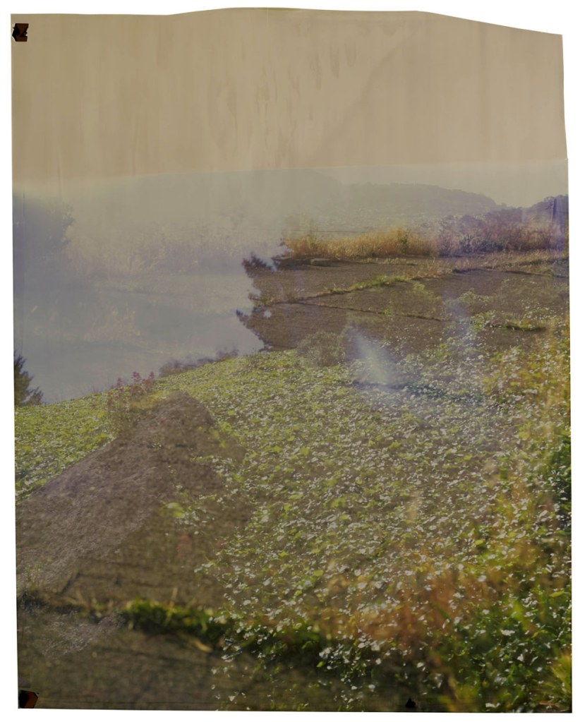 John Chiara (American, b. 1971) 'Starr King: 30th: Coral' 2013