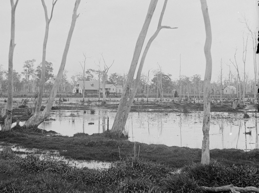 Alfred Elliott (Australian, 1870-1954) 'Maroochy' 1890 (detail)