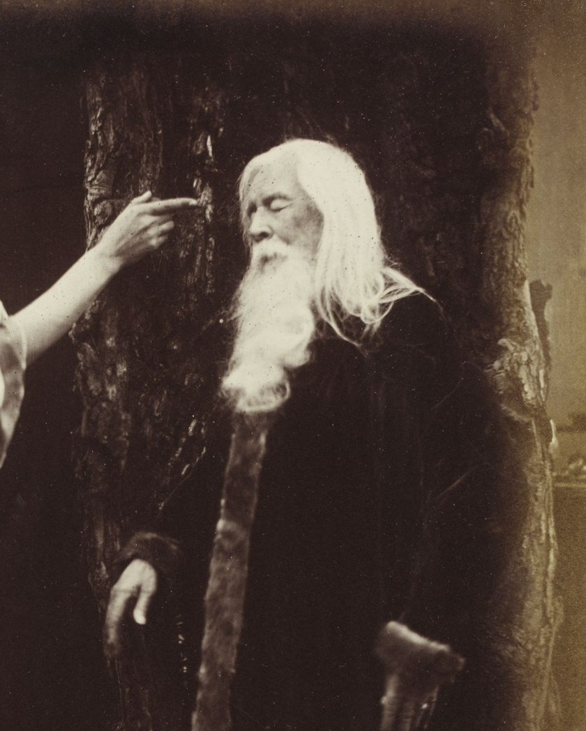 Julia Margaret Cameron. 'Vivien and Merlin from Illustrations to Tennyson's Idylls of the King' (detail) 1874