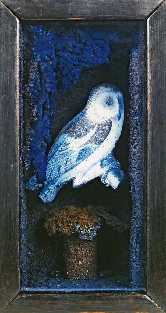 Joseph Cornell (American, 1903-1972) 'Untitled (Owl Habitat)' c. mid- to late 1940s
