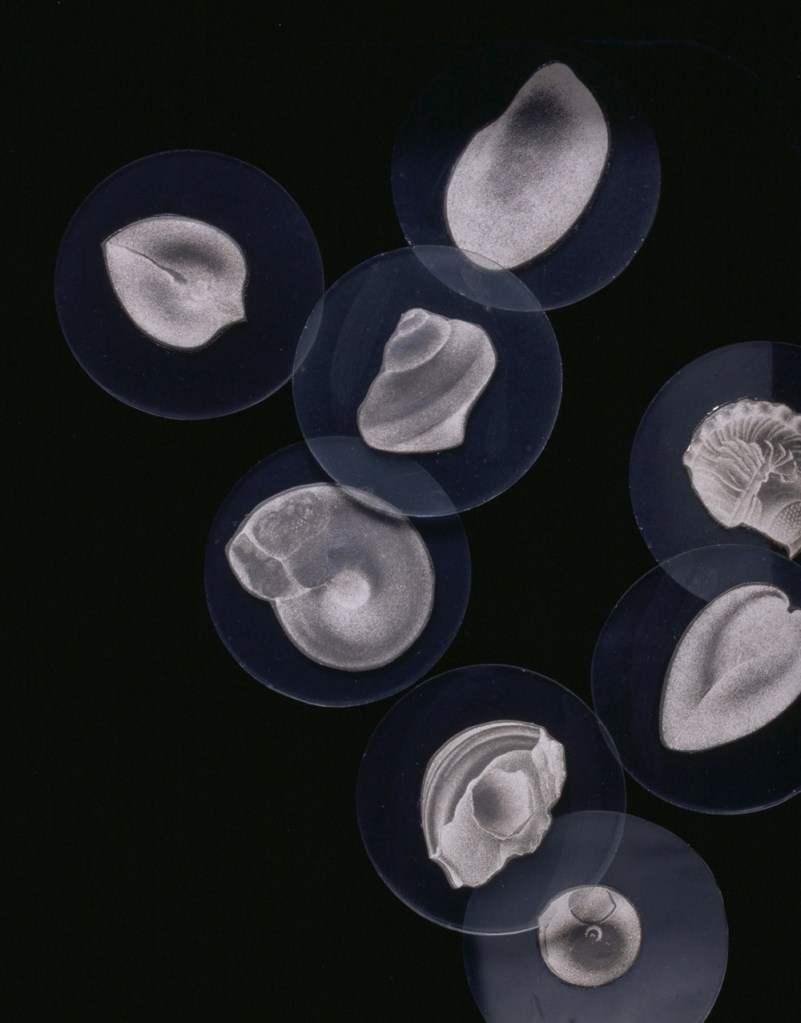 Joseph Cornell (American, 1903-1972) 'Object (Soap Bubble Set)' 1941 (detail)