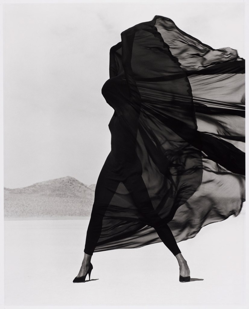 Herb Ritts (American, 1952-2002) 'Versace Veiled Dress, El Mirage' 1990 Herb Ritts (American, 1952-2002) 'Versace Veiled Dress, El Mirage' 1990