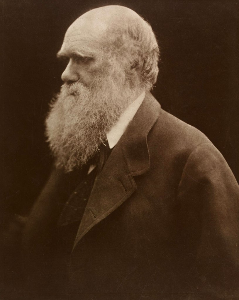 Julia Margaret Cameron (British born India, 1815-1879) 'Charles Darwin' 1868; printed 1875