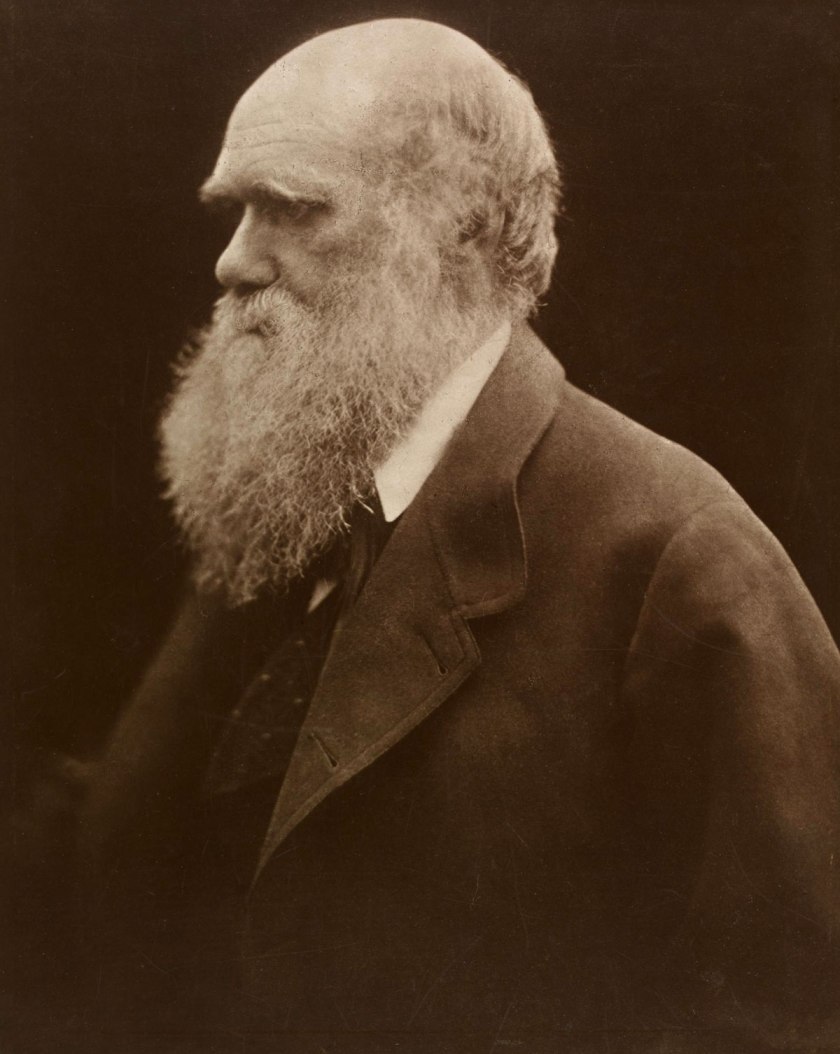 Julia Margaret Cameron. 'Charles Darwin' 1868; printed 1875