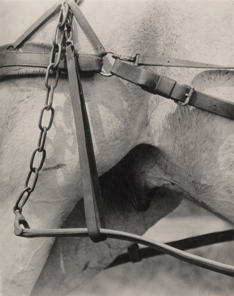 Alfred Stieglitz (American, 1864-1946) 'Spiritual America'  1923