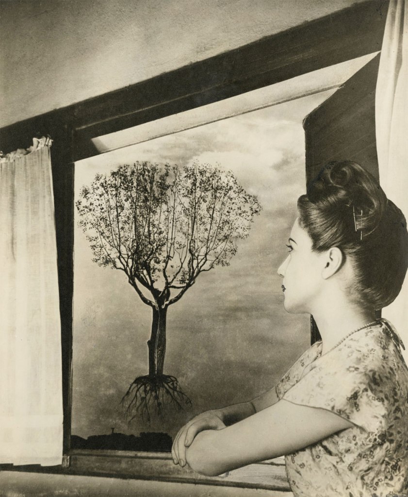 Grete Stern (Argentine born Germany, 1904-1999) 'Sueño No. 43: Untitled' 1949 