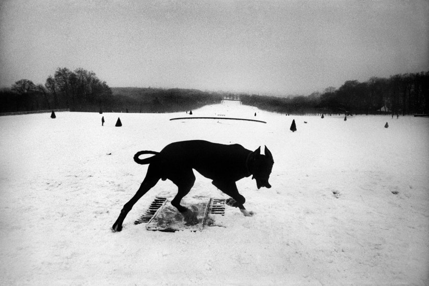 Josef Koudelka (Czech-French, b. 1938) 'Parc de Sceaux, Hauts-de-Seine, France' 1987