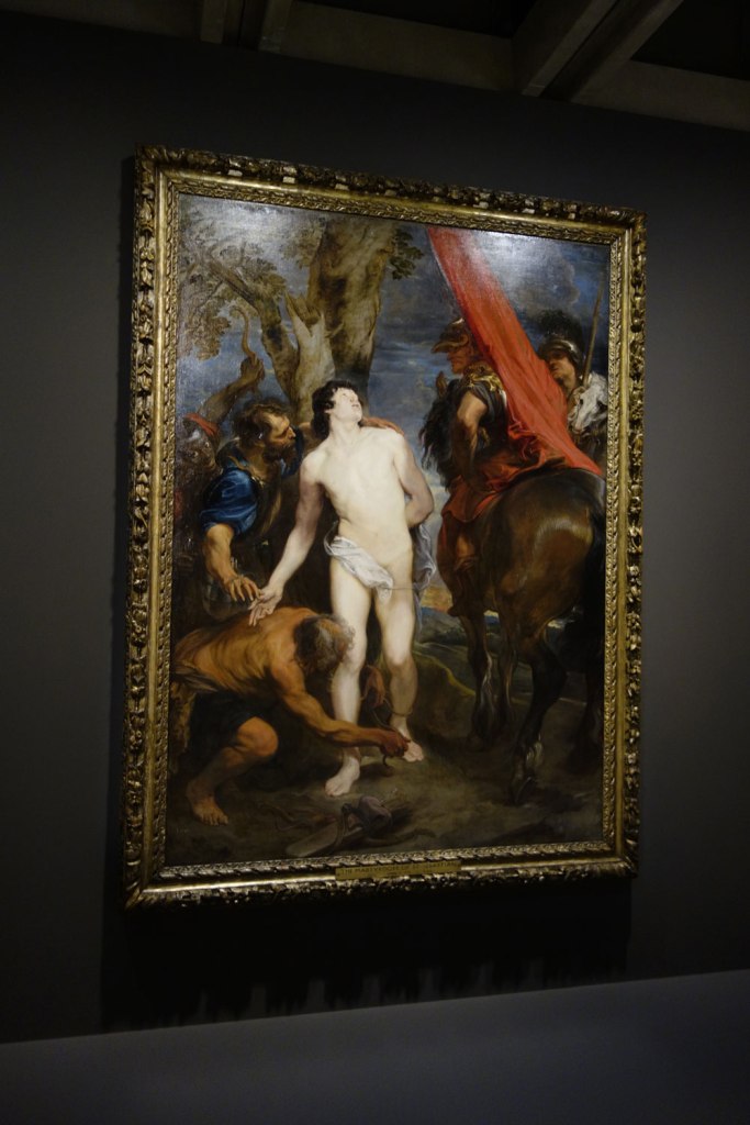 Sir Anthony van Dyck (Southern Netherlands, 1599-1641) 'Saint Sebastian bound for martyrdom' c. 1620-1621 (installation view)