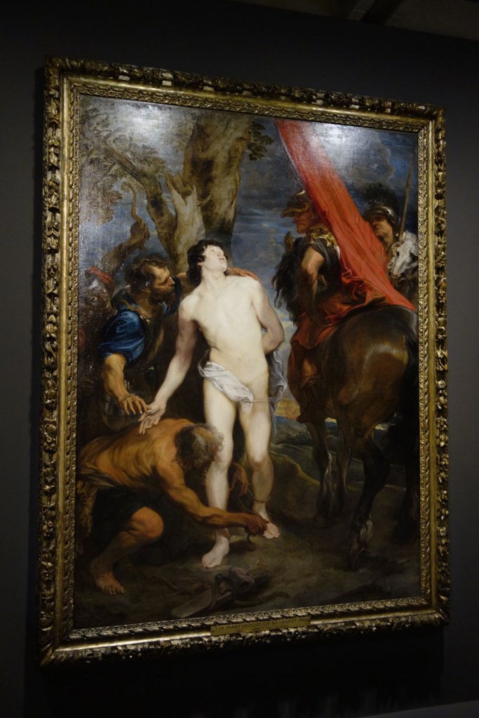 Sir Anthony van Dyck (Southern Netherlands, 1599-1641) 'Saint Sebastian bound for martyrdom' c. 1620-1621 (installation view)