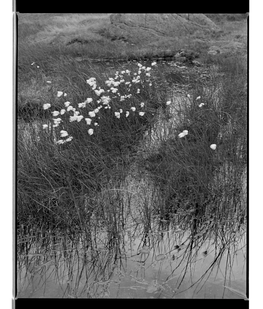 Marcus Bunyan. 'Lake District' 1993