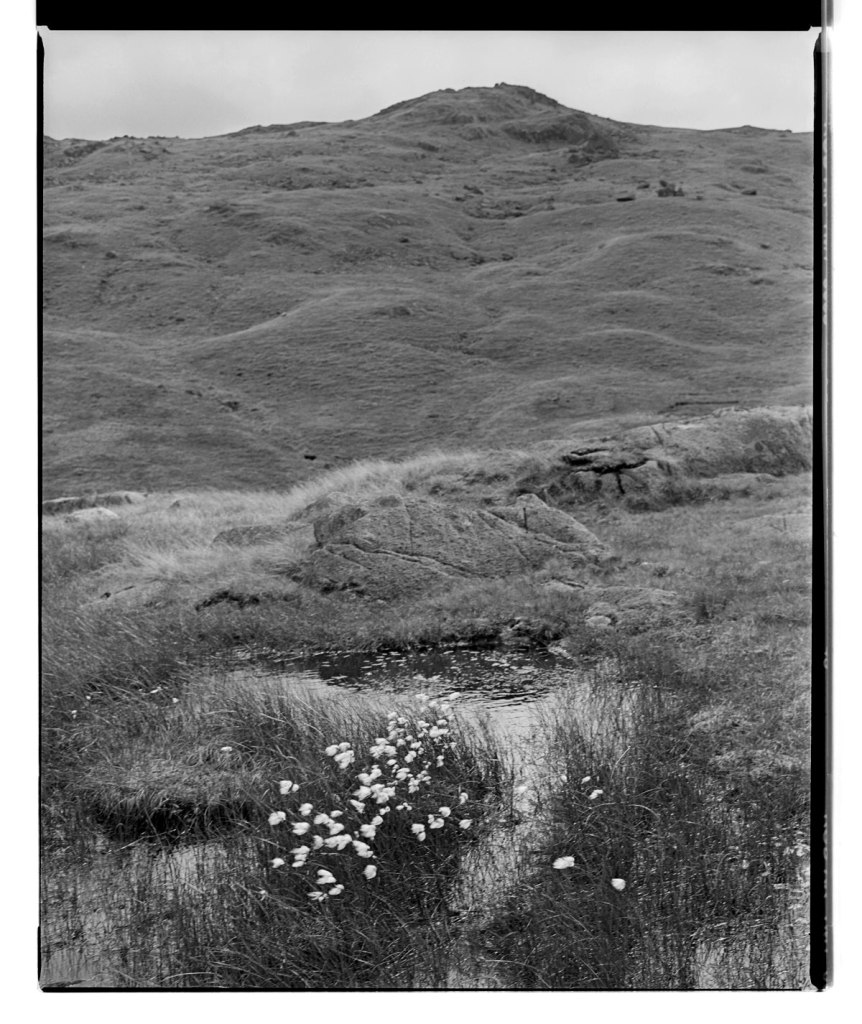 Marcus Bunyan (Australian, b. 1958) 'Lake District, England' 1994