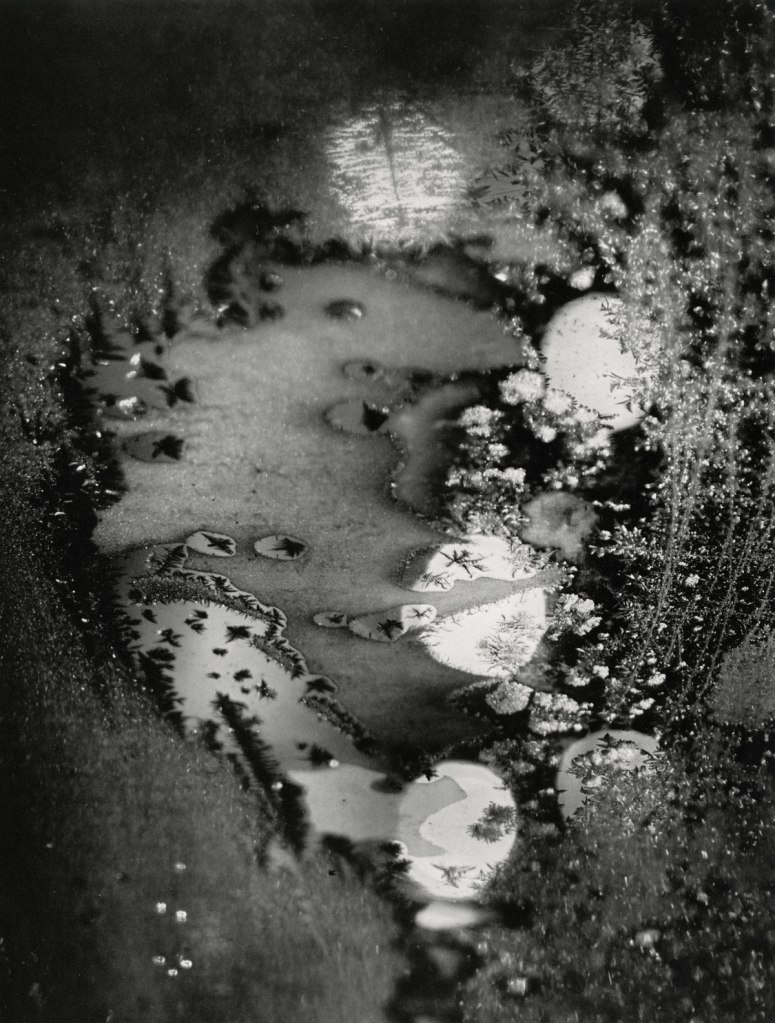 Minor White (American, 1908–1976) 'Beginnings, Rochester, New York' 1962