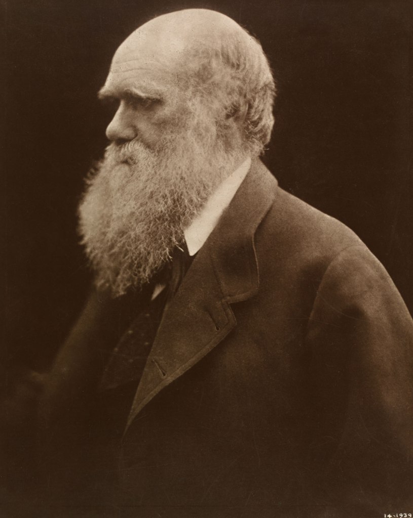 Julia Margaret Cameron (British, 1815-1879) 'Charles Darwin' 1868, printed 1875