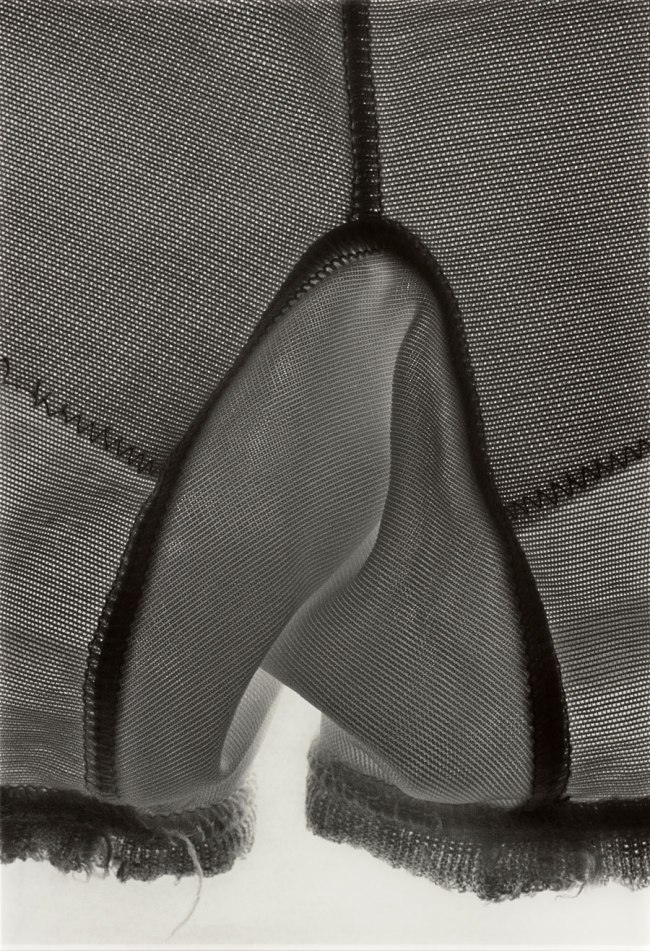 Ishiuchi Miyako (Japanese, b. 1947) 'Mother’s #16' 2001 Ishiuchi Miyako (Japanese, b. 1947) 'Mother’s #16' 2001