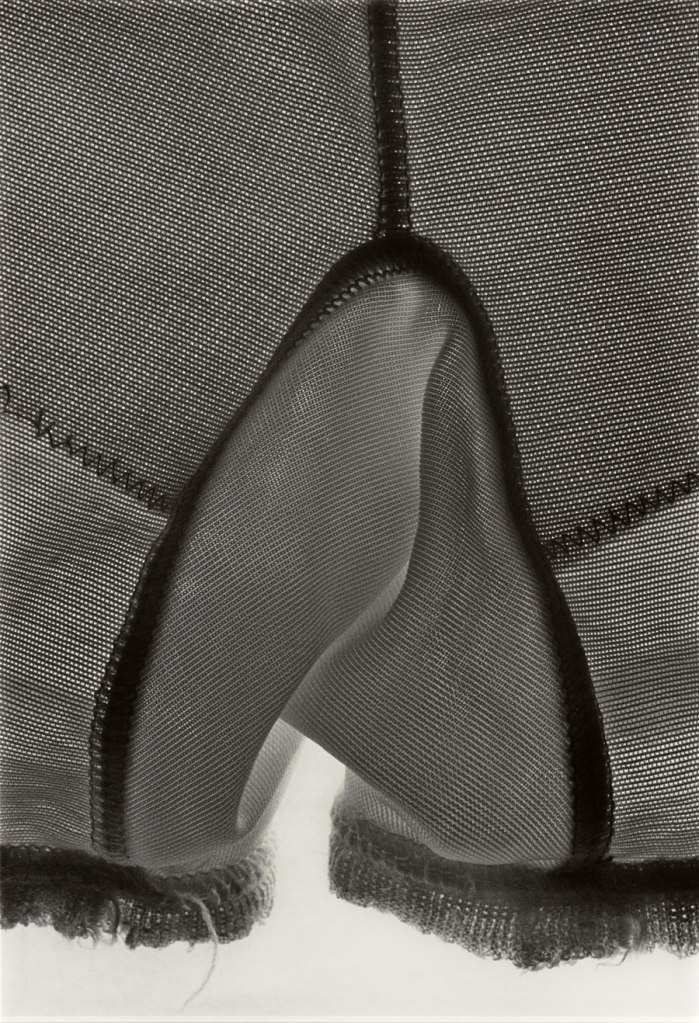 Ishiuchi Miyako (Japanese, b. 1947) 'Mother’s #16' 2001