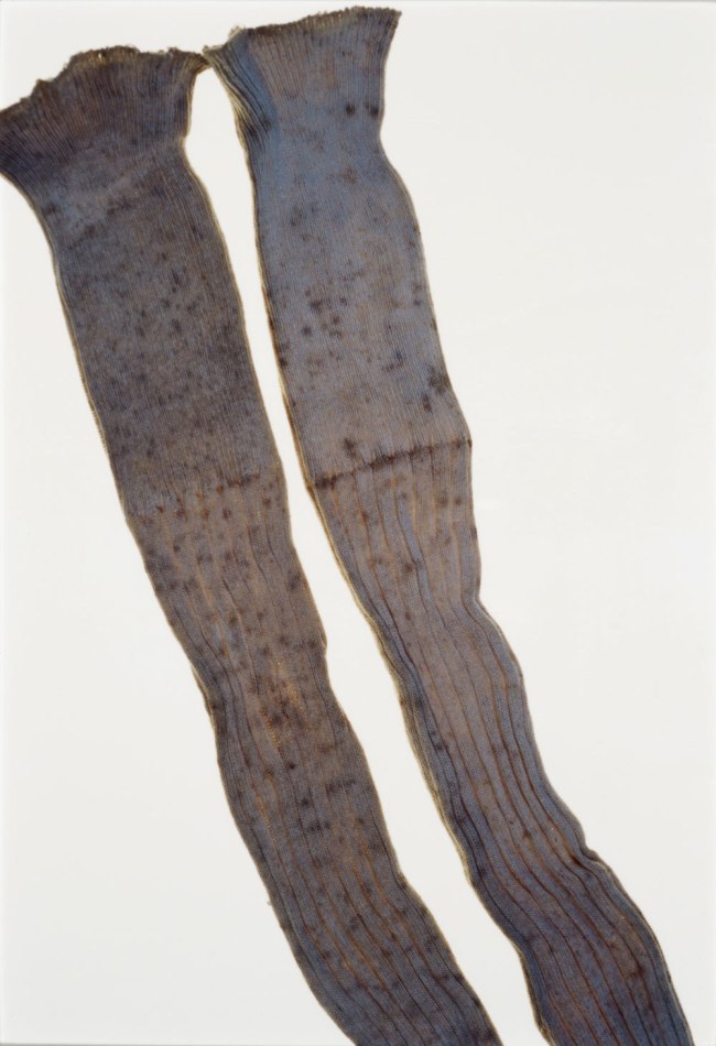 Ishiuchi Miyako (Japanese, b. 1947) 'ひろしま/hiroshima #60 (Abe Hatsuko)' 2007 Ishiuchi Miyako (Japanese, b. 1947) 'ひろしま/hiroshima #60 (Abe Hatsuko)' 2007