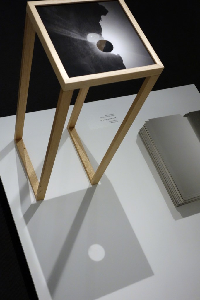 Jo Scicluna (born Australia 1969) 'Where we begin (sunless)' 2014 (installation view detail)