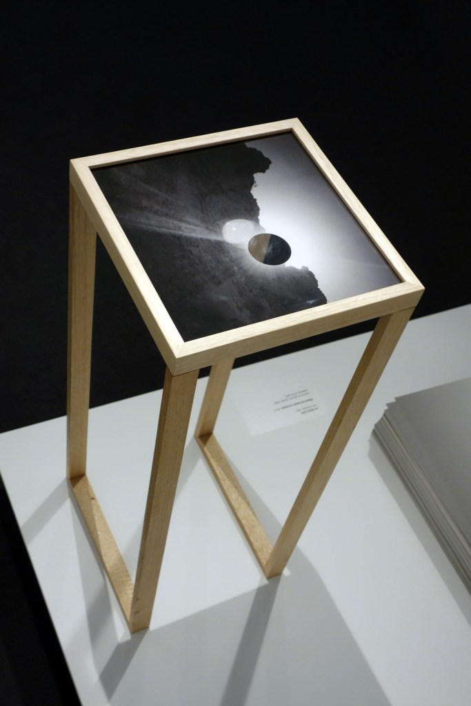 Jo Scicluna (born Australia 1969) 'Where we begin (sunless)' 2014 (installation view detail)