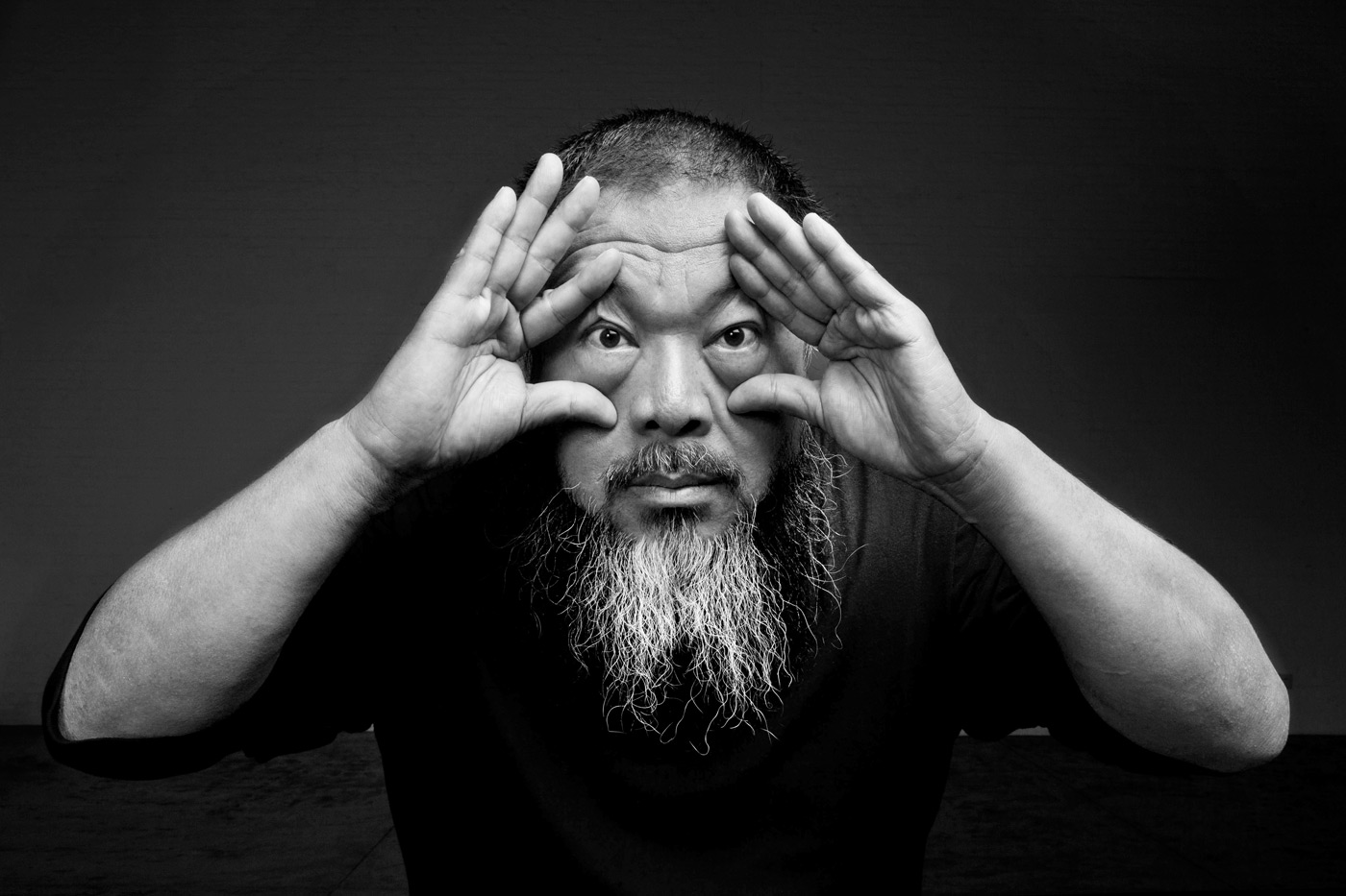 Gao Yuan. 'Ai Weiwei' 2012