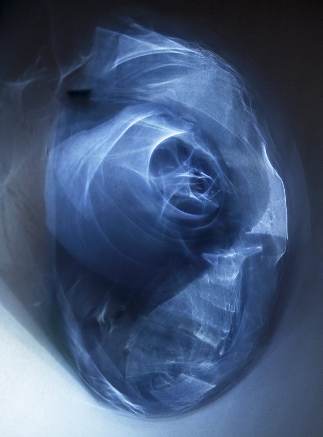 Darron Davies (Australian) 'Advent' 2016