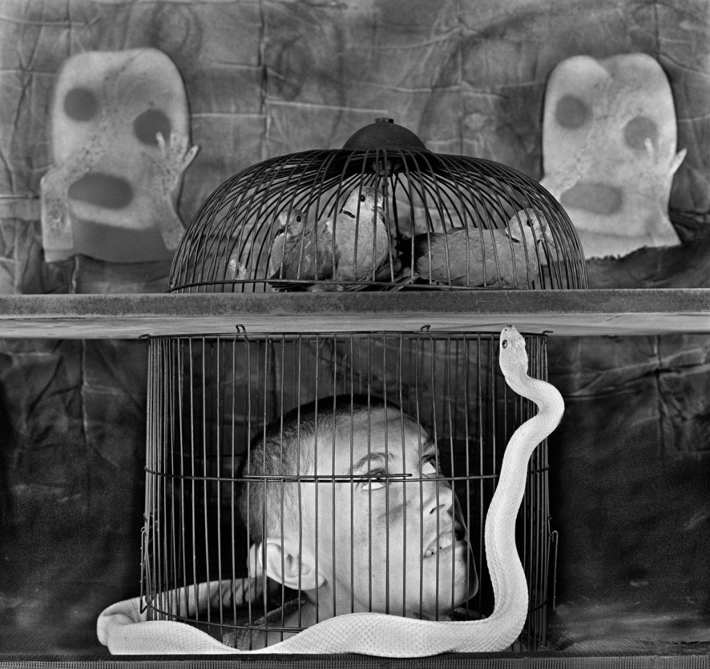 Roger Ballen (South African born America, b. 1950) 'Caged' 2011 from the exhibition 'Roger Ballen's Theatre of the Mind' at SCA Galleries, Sydney College of the Arts, Sydney, March - May, 2016