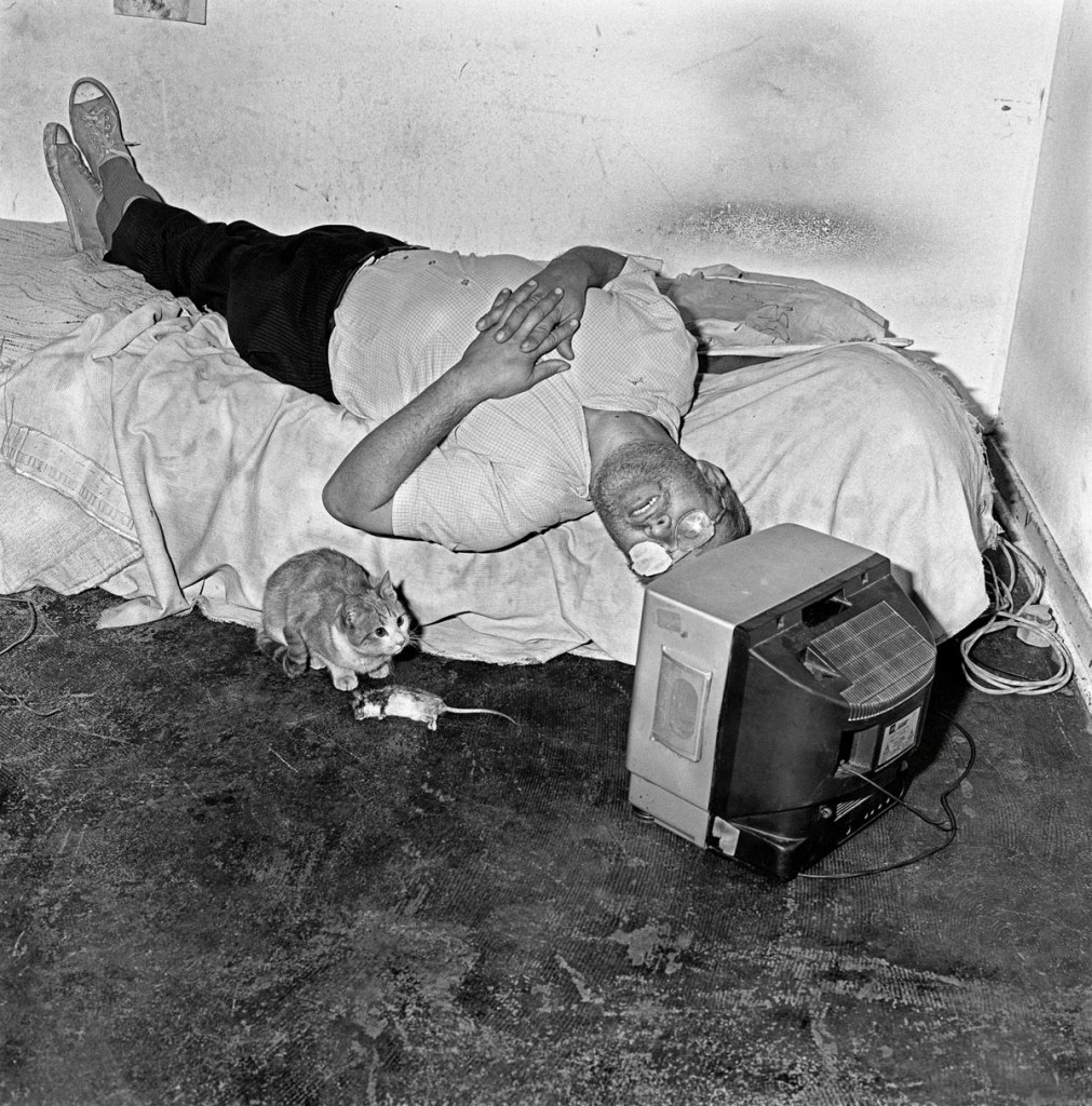 Roger Ballen (South African born America, b. 1950) 'Cat and Mouse' 2001